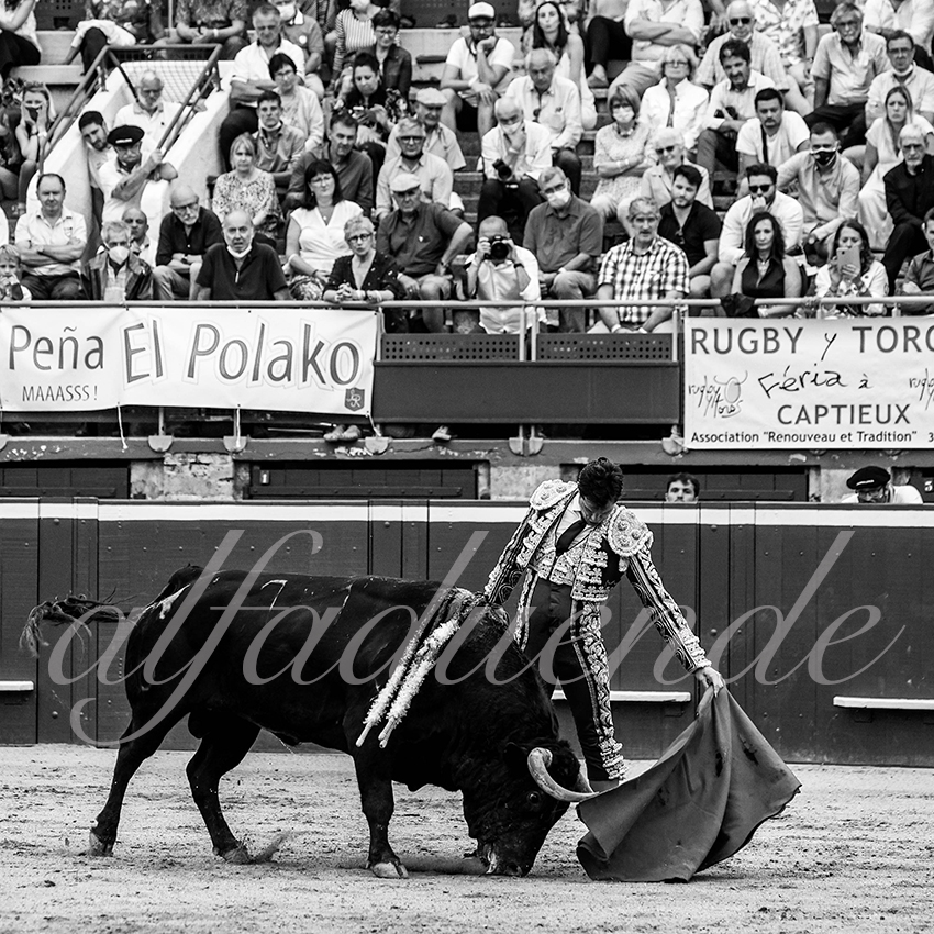 20210723 mt de marsan alfaduende 0012