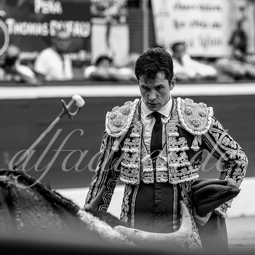 20210723 mt de marsan alfaduende 0013