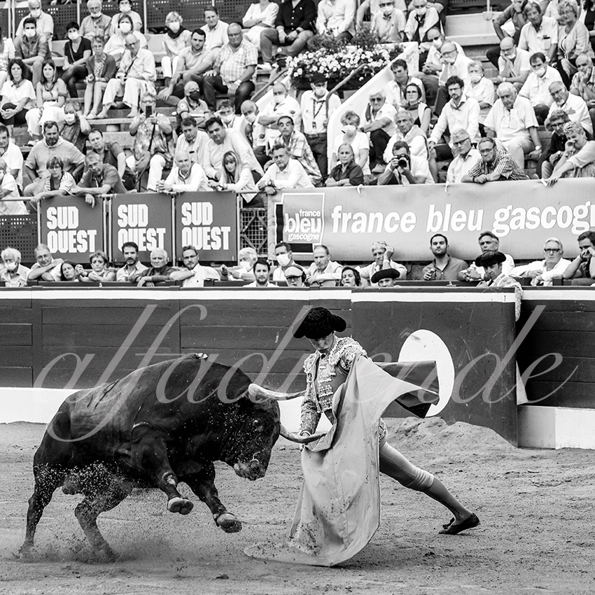 20210723 mt de marsan alfaduende 0014