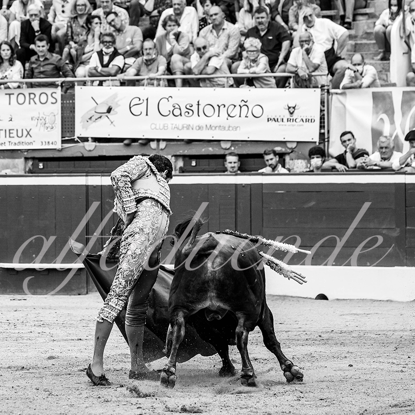 20210723 mt de marsan alfaduende 0016