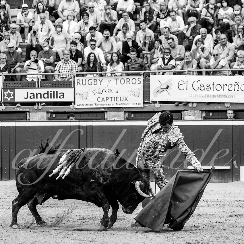 20210723 mt de marsan alfaduende 0017