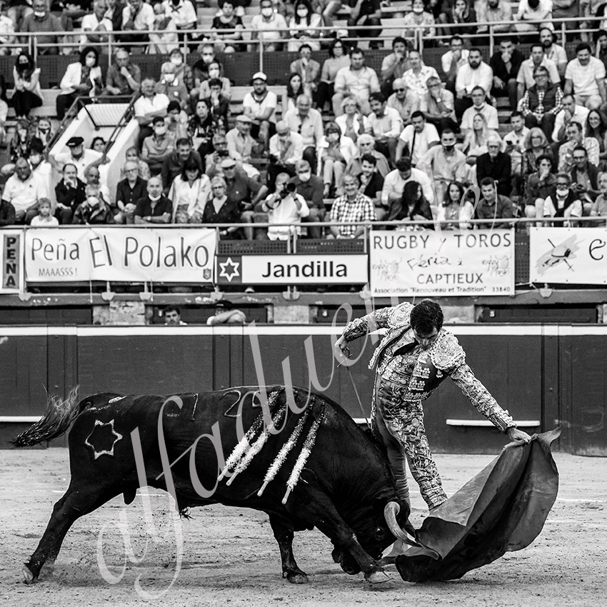 20210723 mt de marsan alfaduende 0018