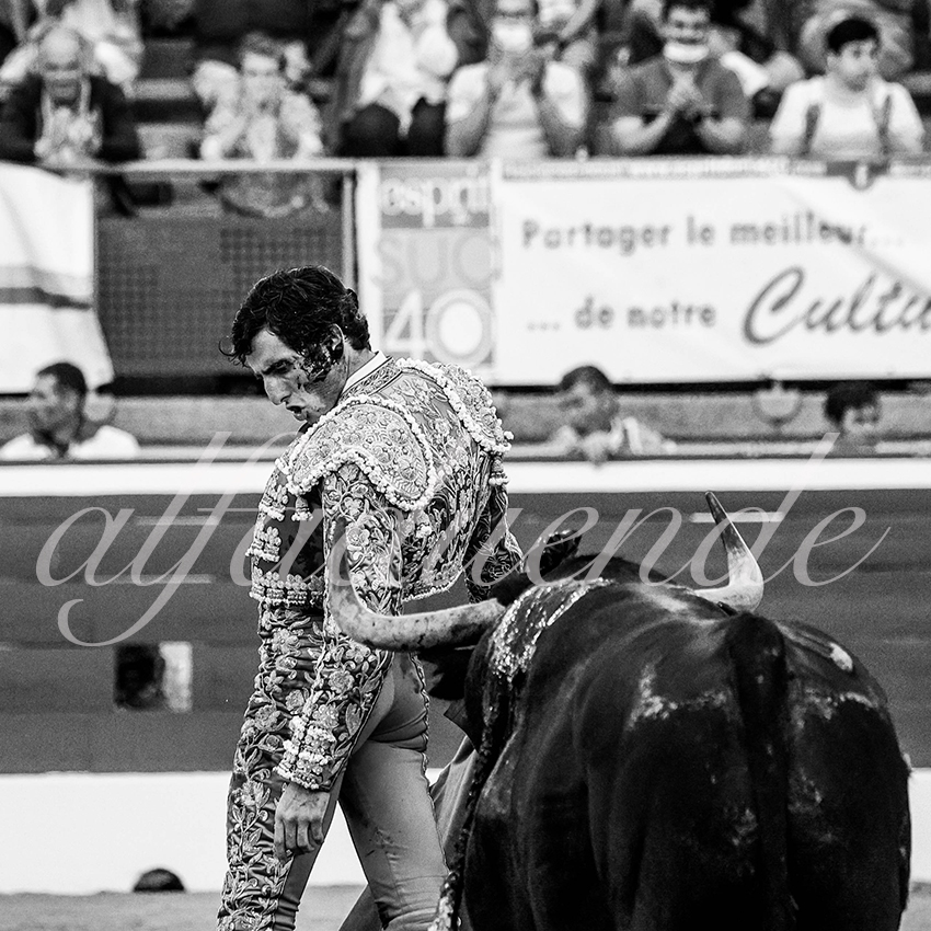 20210723 mt de marsan alfaduende 0019