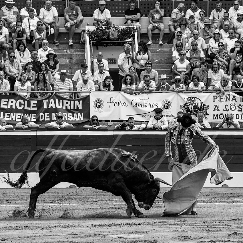 20220723 mont de marsan nov 002