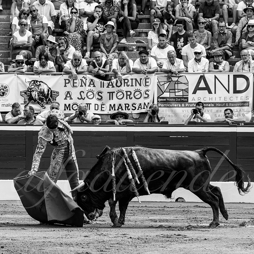 20220723 mont de marsan nov 003