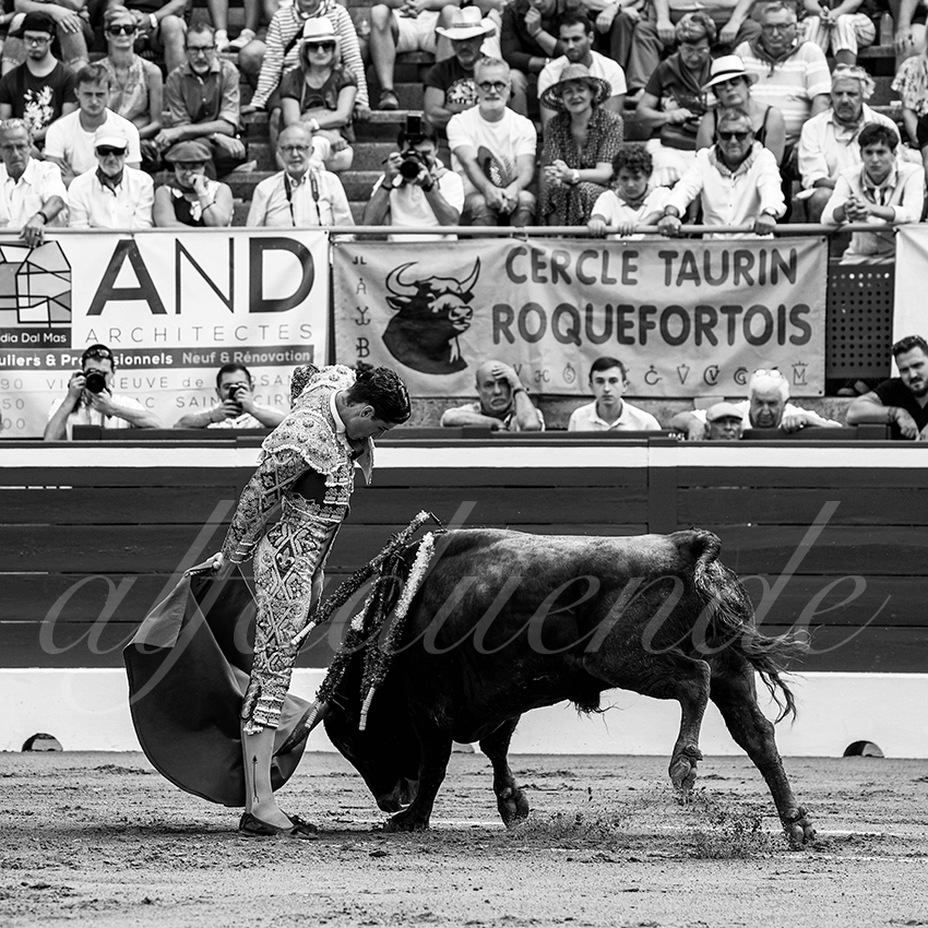 20220723 mont de marsan nov 004