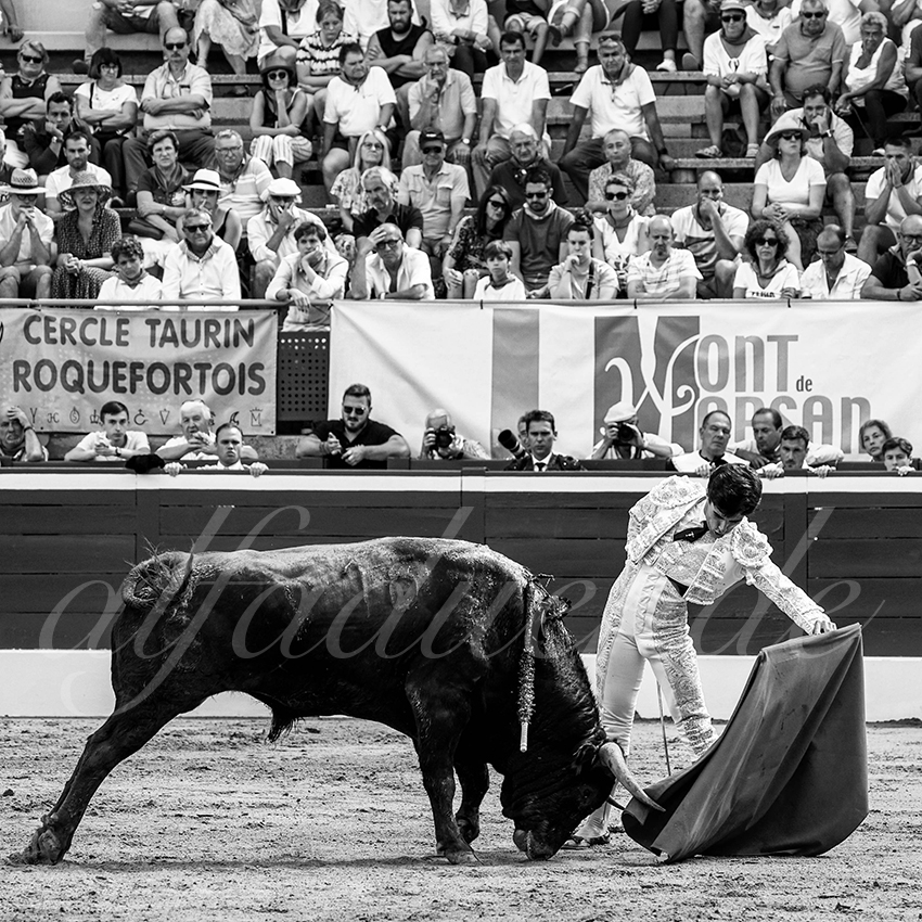 20220723 mont de marsan nov 005