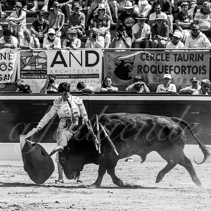 20220723 mont de marsan nov 006