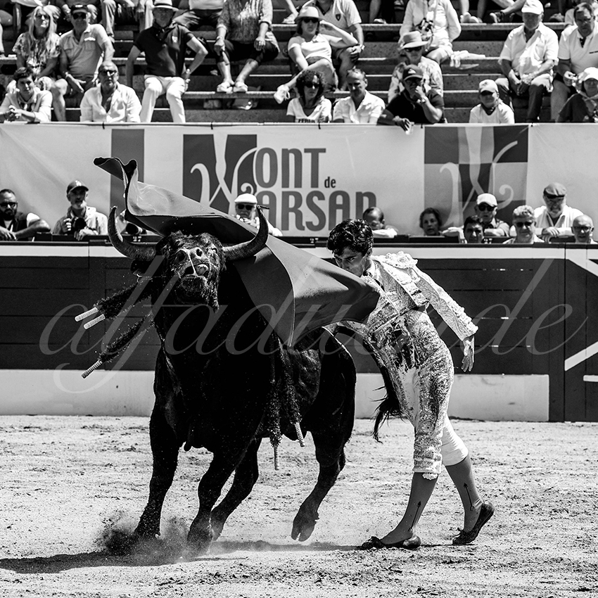 20220723 mont de marsan nov 008