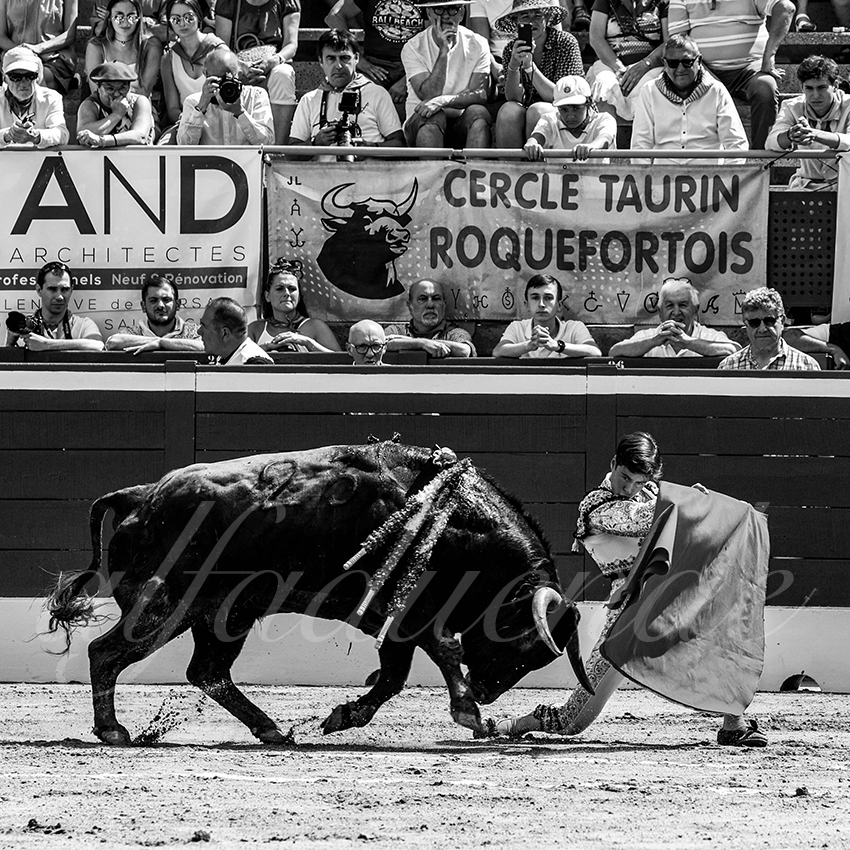 20220723 mont de marsan nov 010