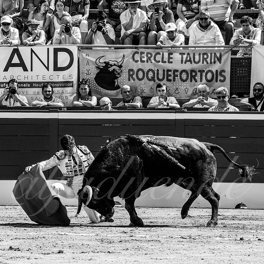 20220723 mont de marsan nov 011