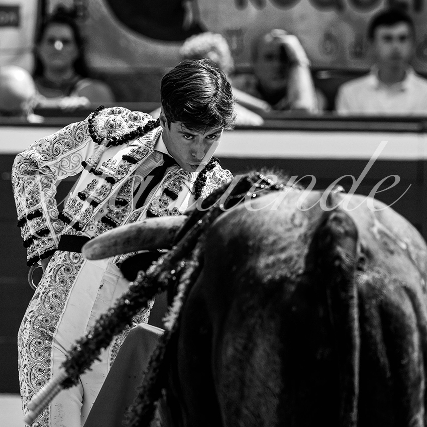 20220723 mont de marsan nov 012