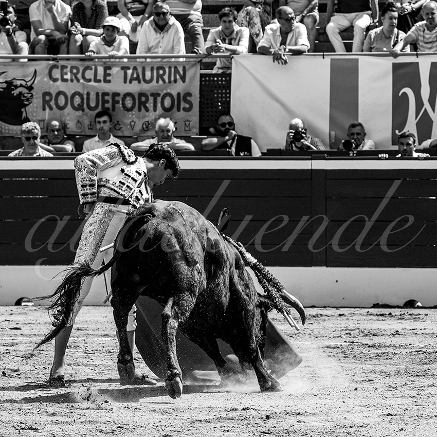 20220723 mont de marsan nov 013