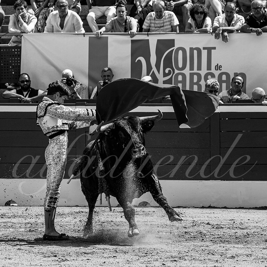 20220723 mont de marsan nov 015