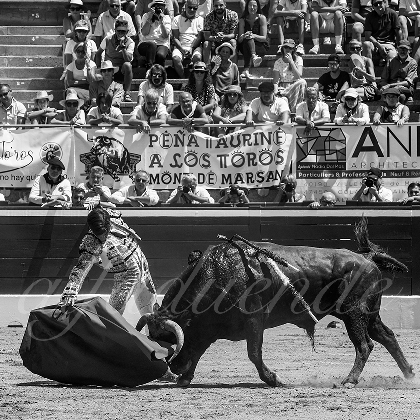 20220723 mont de marsan nov 017