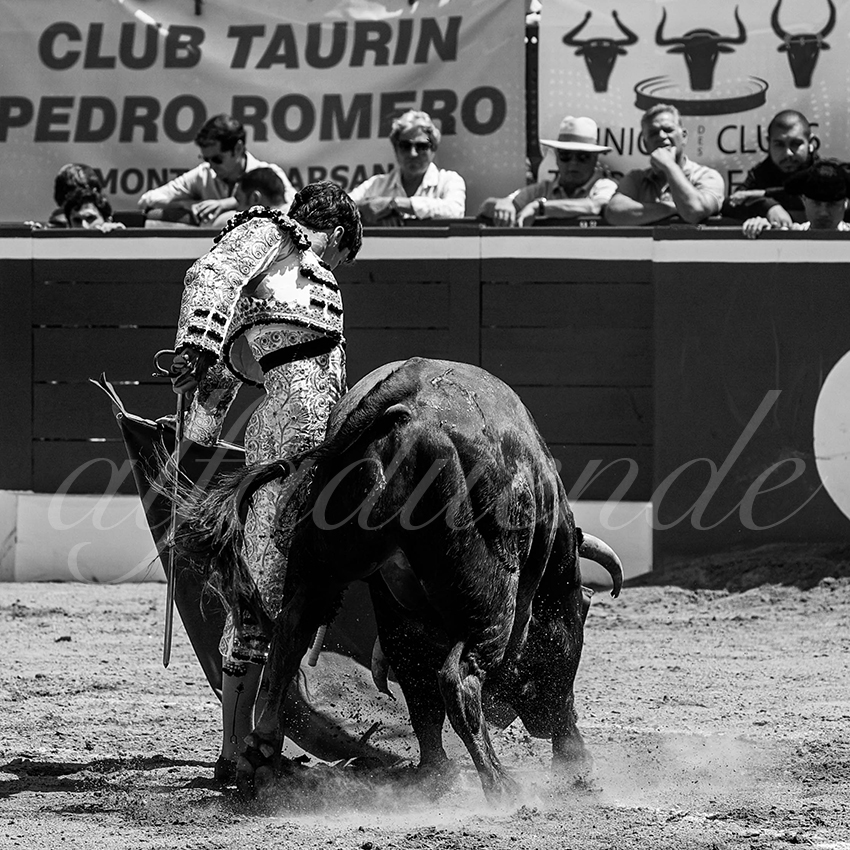 20220723 mont de marsan nov 018