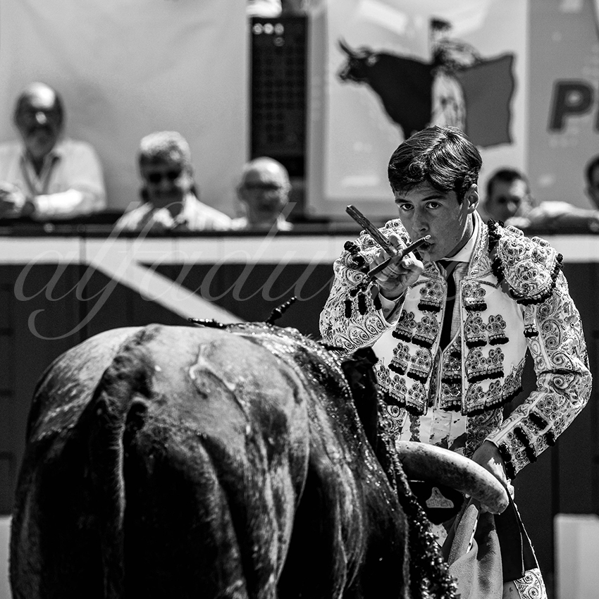 20220723 mont de marsan nov 019