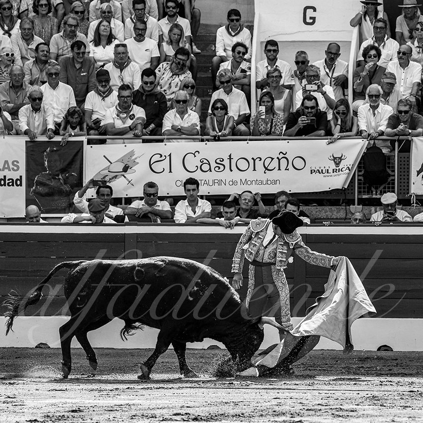 20220721 mont de marsan 005