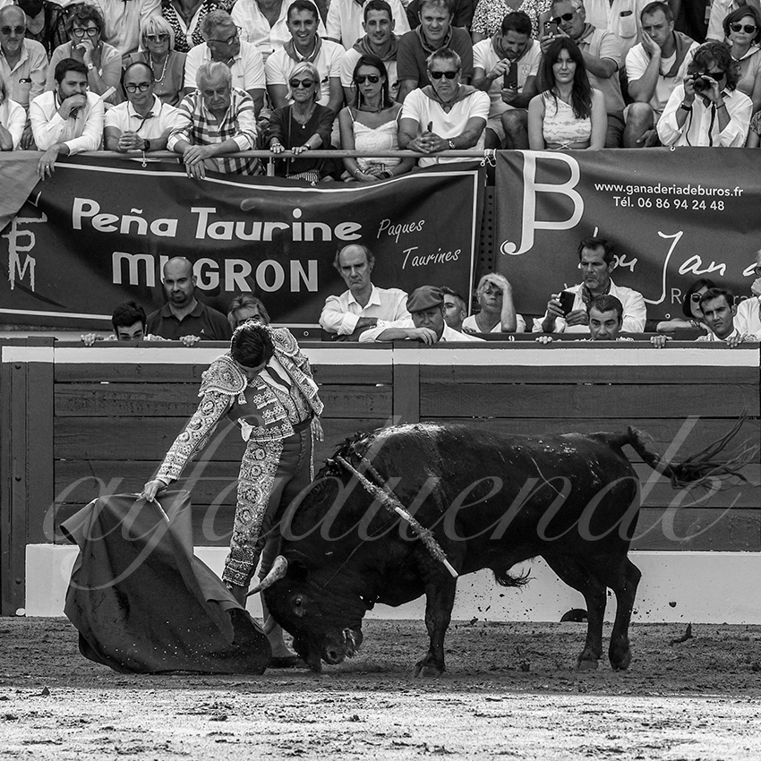 20220721 mont de marsan 006