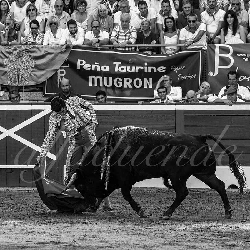 20220721 mont de marsan 007