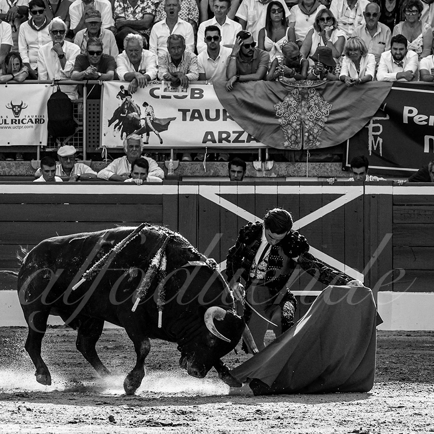 20220721 mont de marsan 008