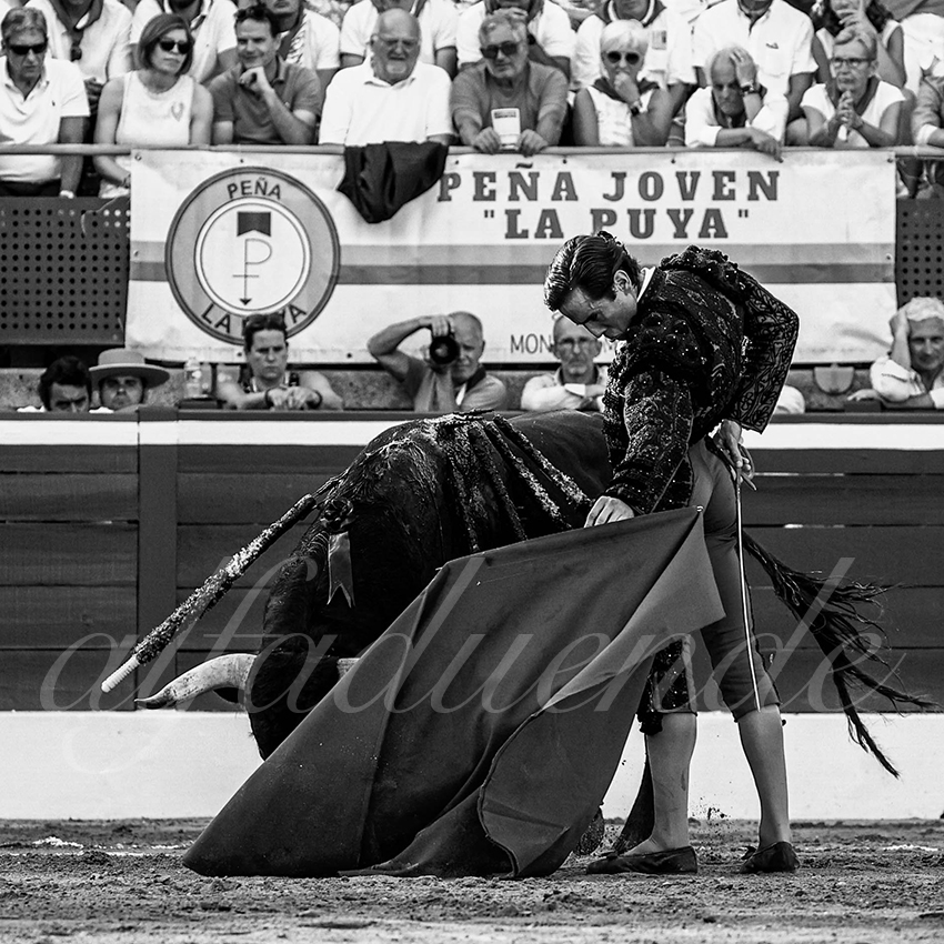 20220721 mont de marsan 010