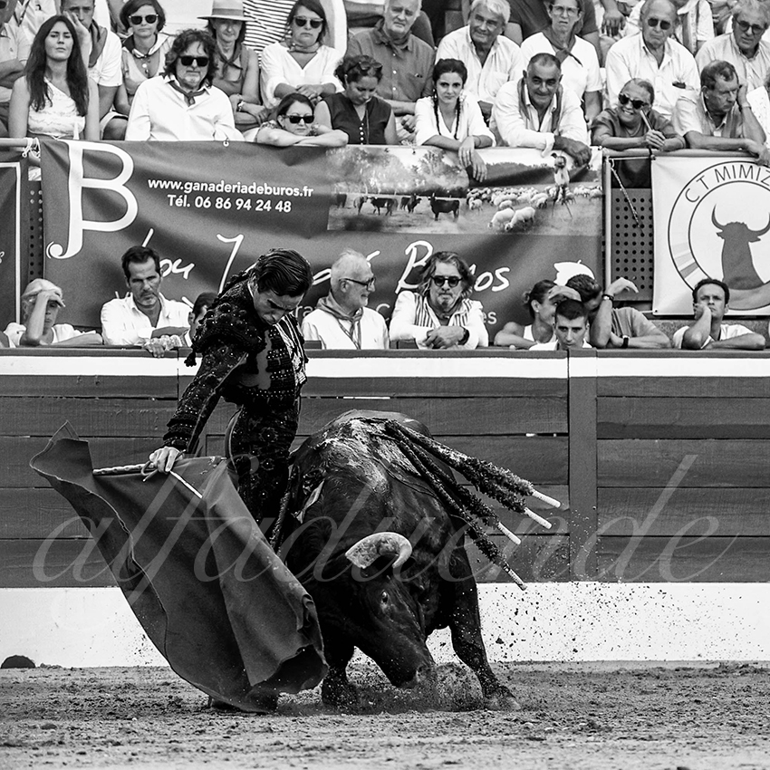 20220721 mont de marsan 011