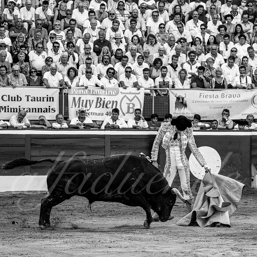 20220721 mont de marsan 012