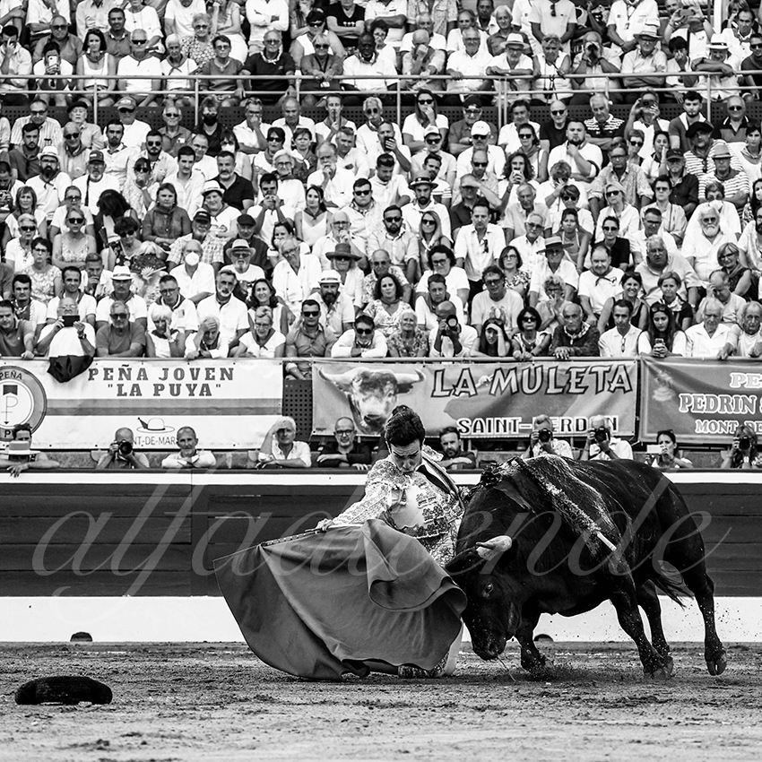 20220721 mont de marsan 013