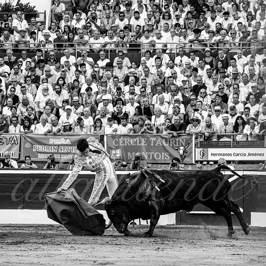 20220721 mont de marsan 014