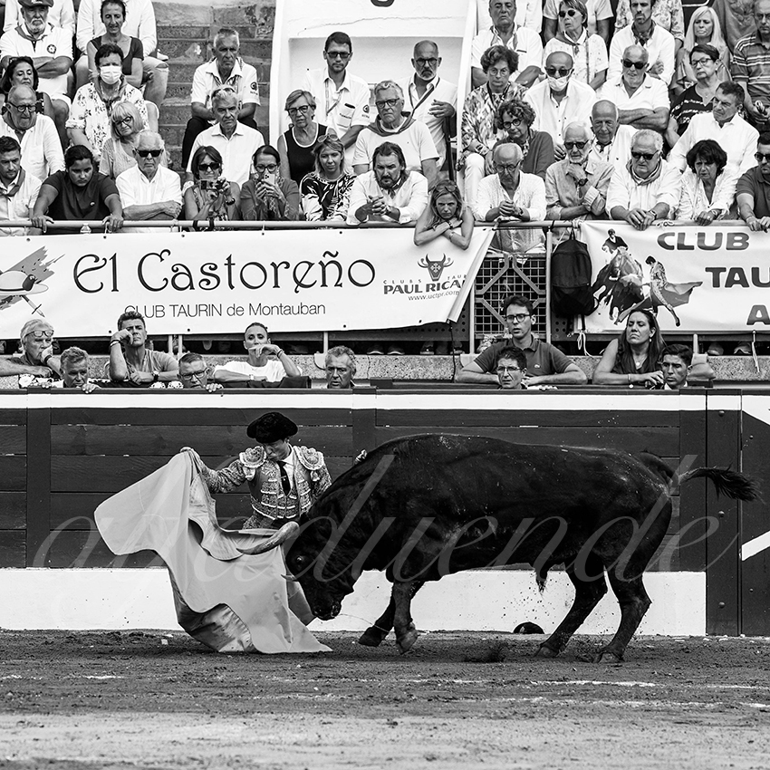 20220722 mont de marsan 003