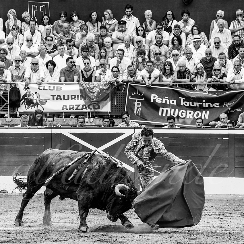 20220722 mont de marsan 004