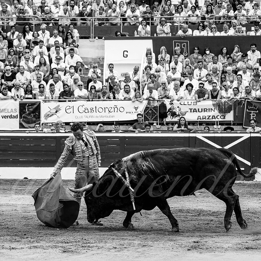 20220722 mont de marsan 006