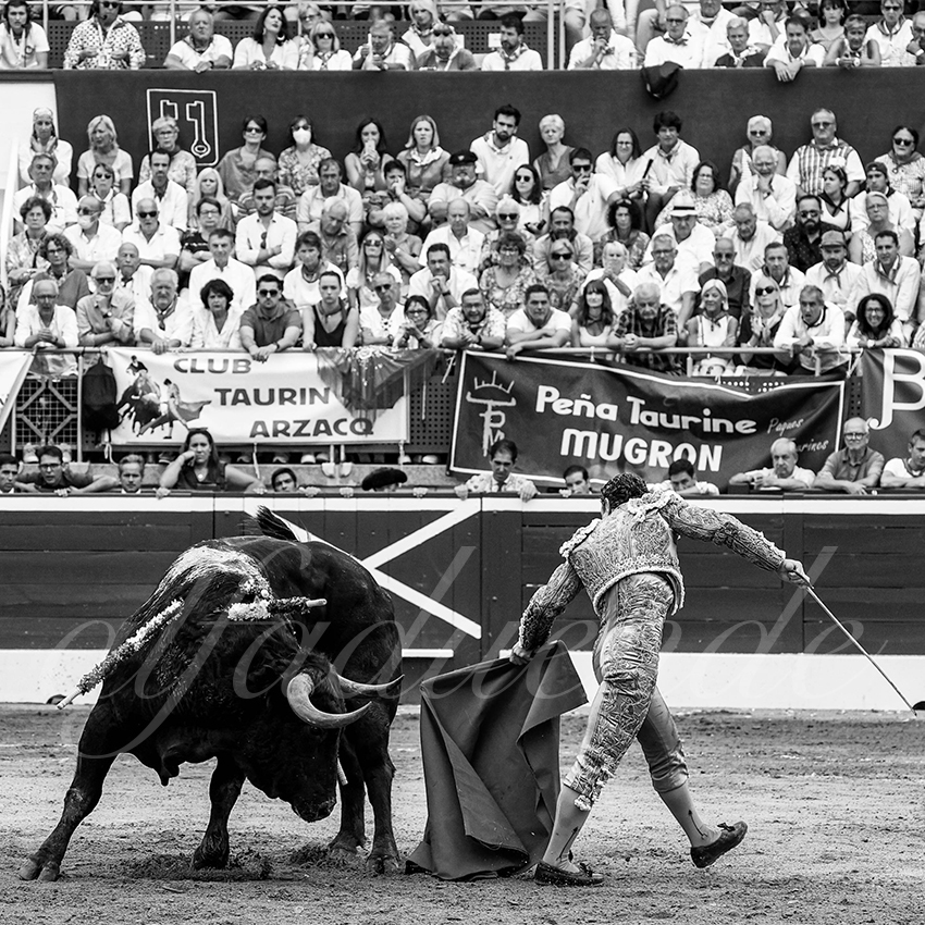 20220722 mont de marsan 007