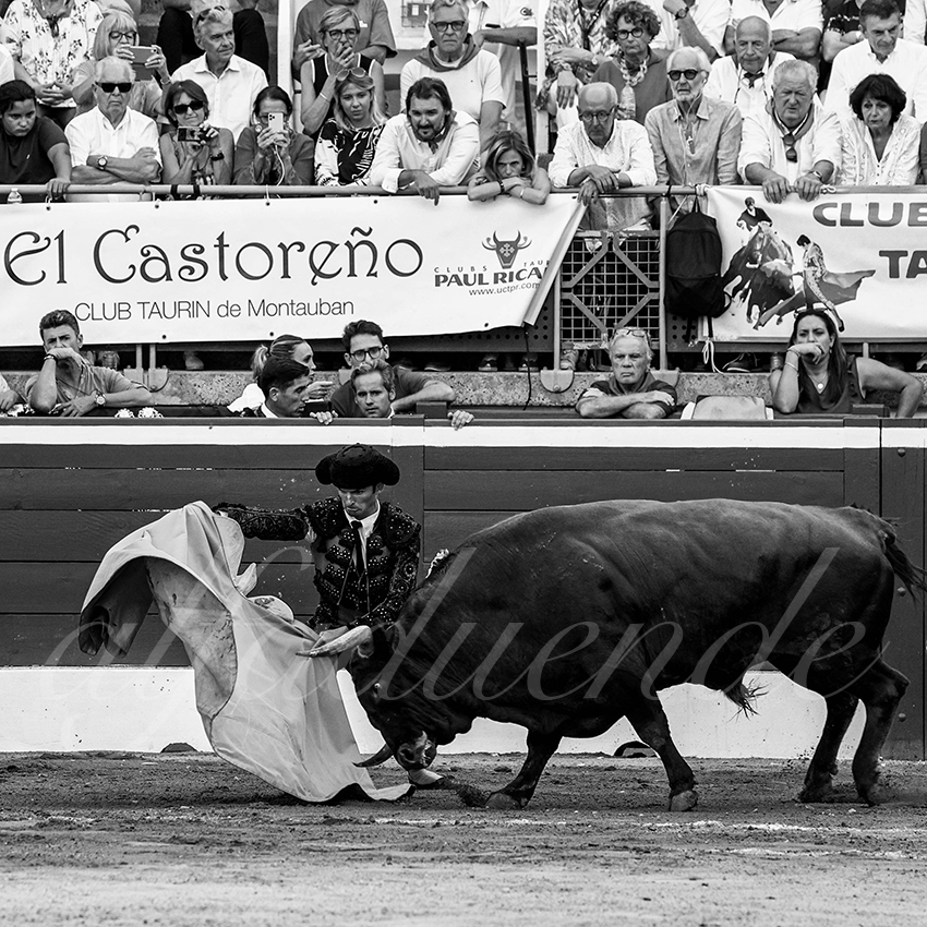 20220722 mont de marsan 011