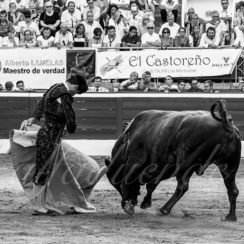 20220722 mont de marsan 012