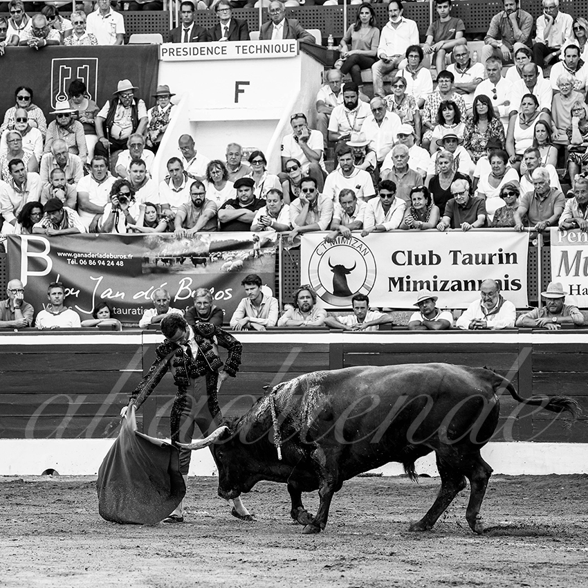 20220722 mont de marsan 013