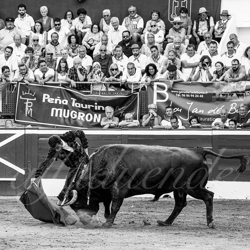 20220722 mont de marsan 014