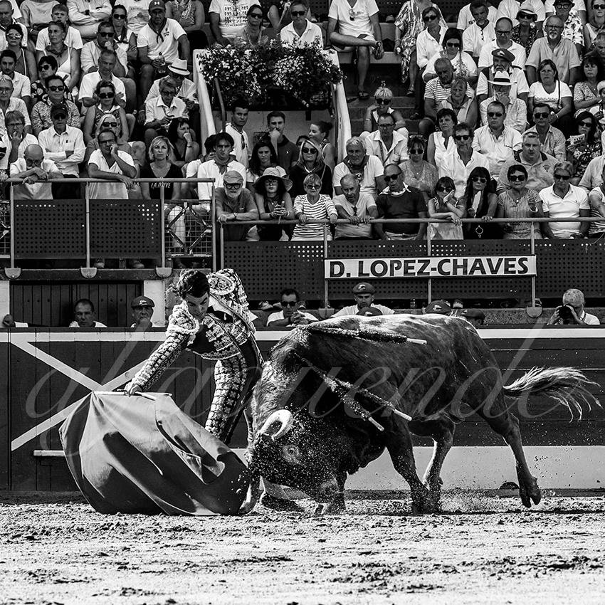 20220724 mont de marsan 003