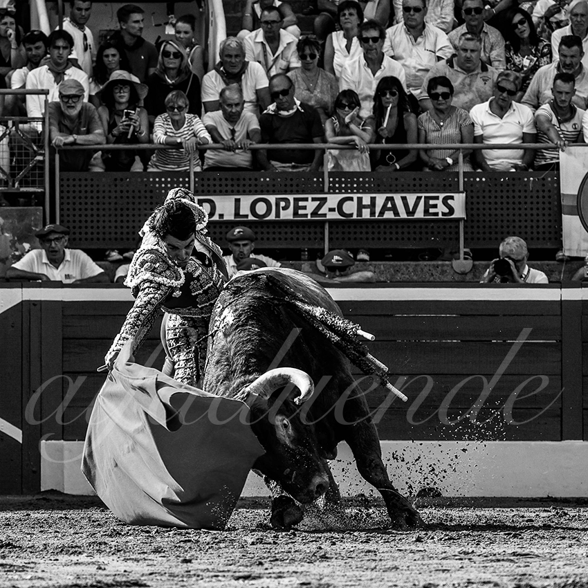 20220724 mont de marsan 004