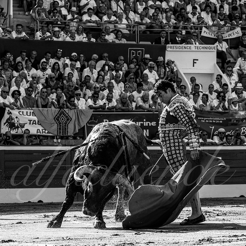 20220724 mont de marsan 006