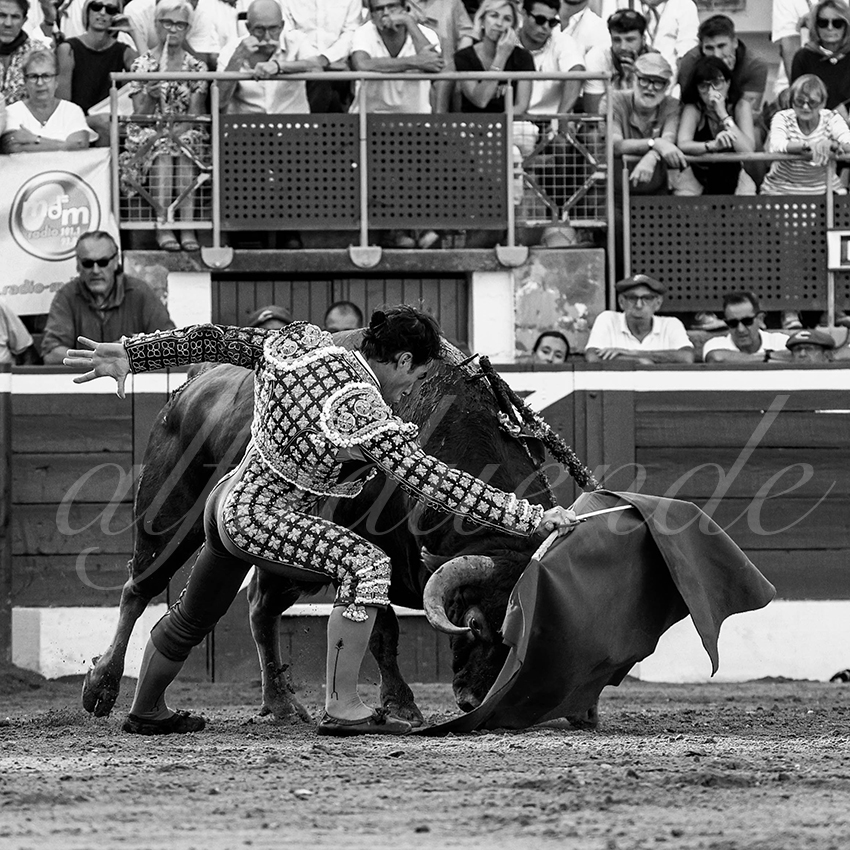 20220724 mont de marsan 007