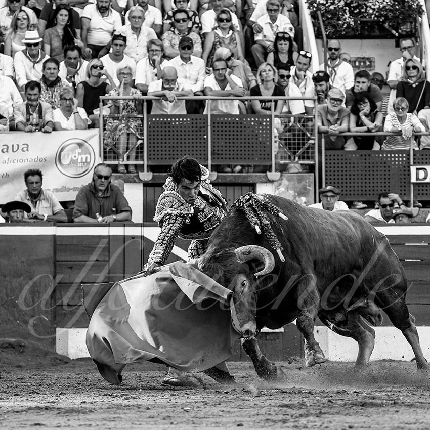 20220724 mont de marsan 008