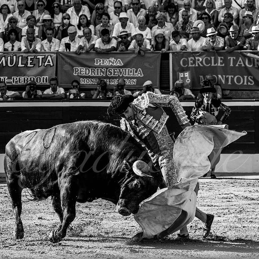 20220724 mont de marsan 009