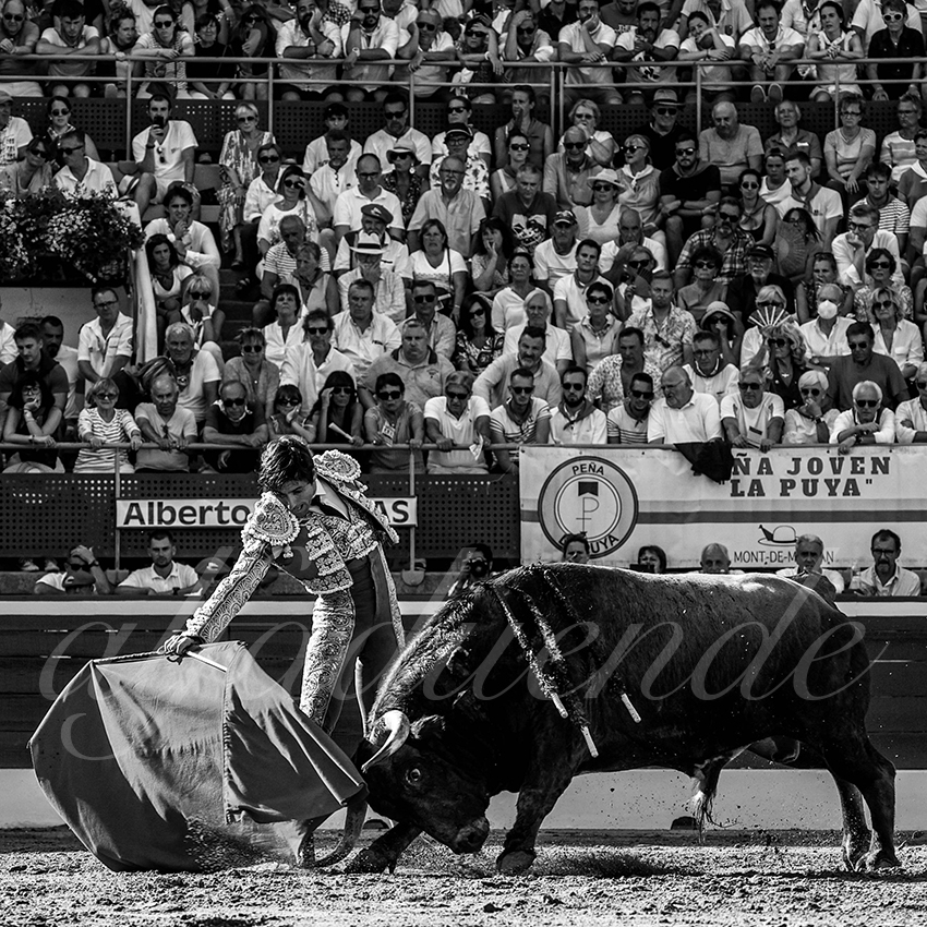 20220724 mont de marsan 010