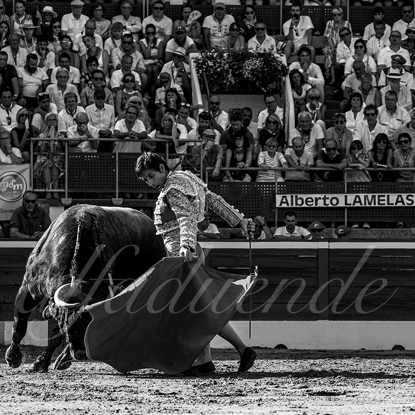 20220724 mont de marsan 011