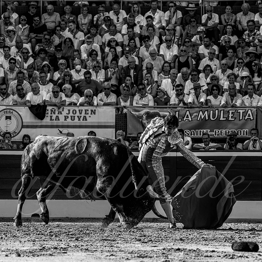 20220724 mont de marsan 013