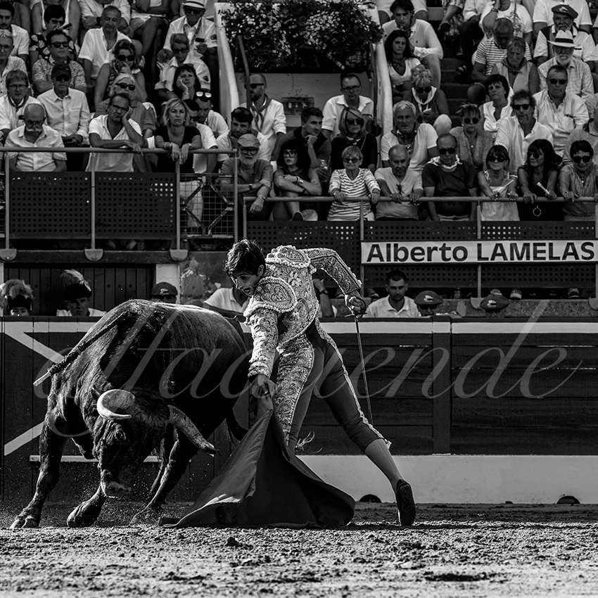 20220724 mont de marsan 014