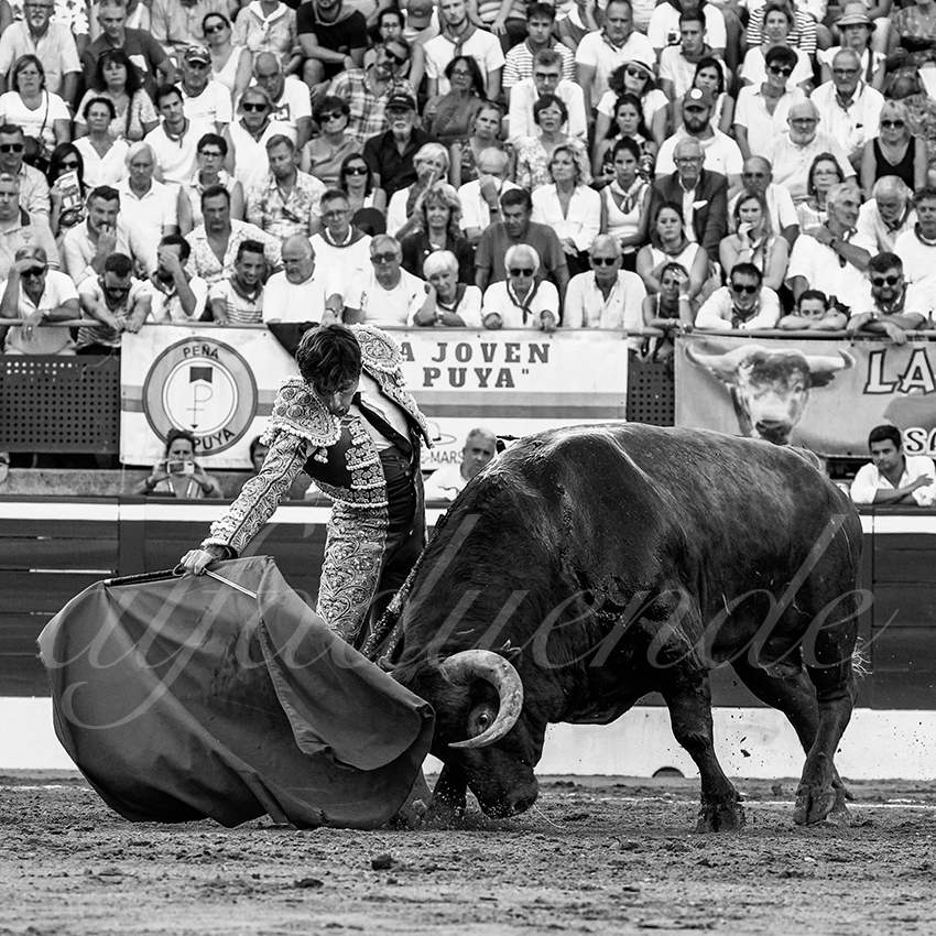 20220724 mont de marsan 016