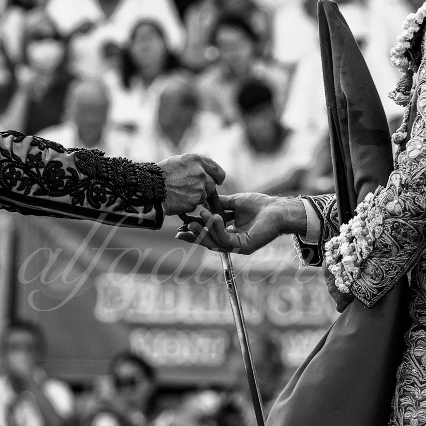 20220724 mont de marsan 018